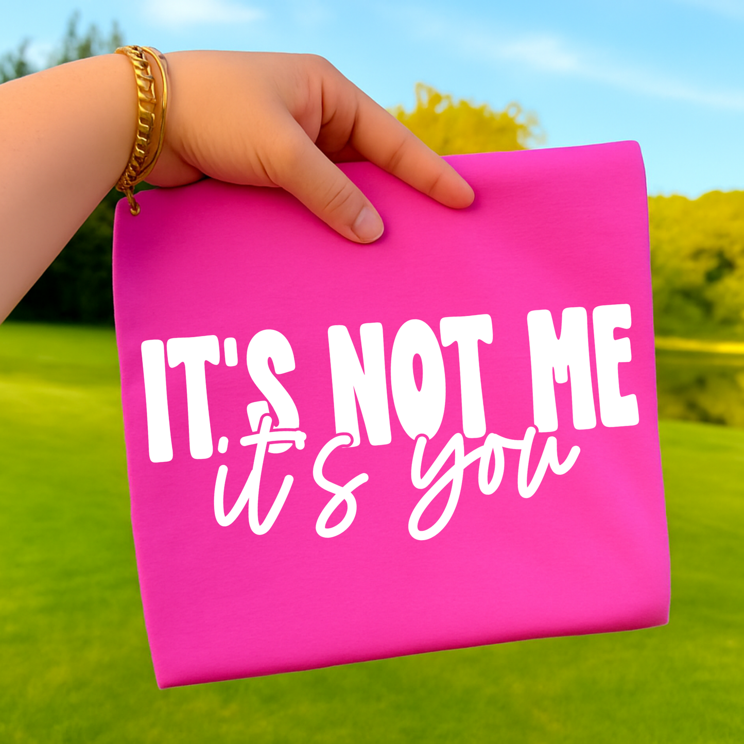 It's Not Me It's You Full Color DTF Transfer