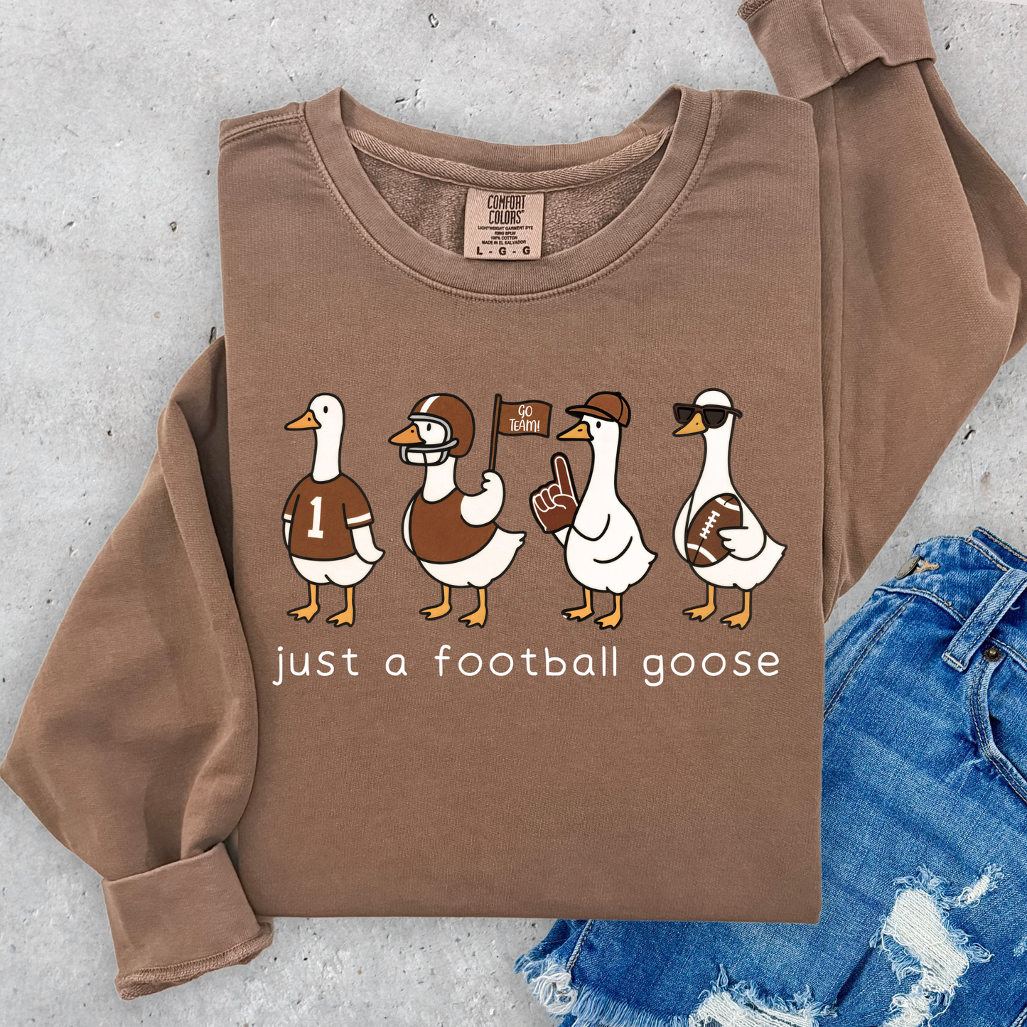 Just A Football Goose Full Color DTF Transfer