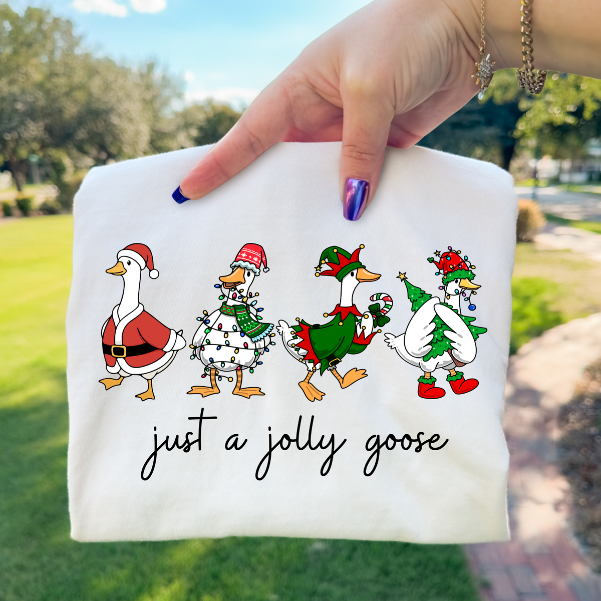 Just A Jolly Goose Full Color DTF Transfer