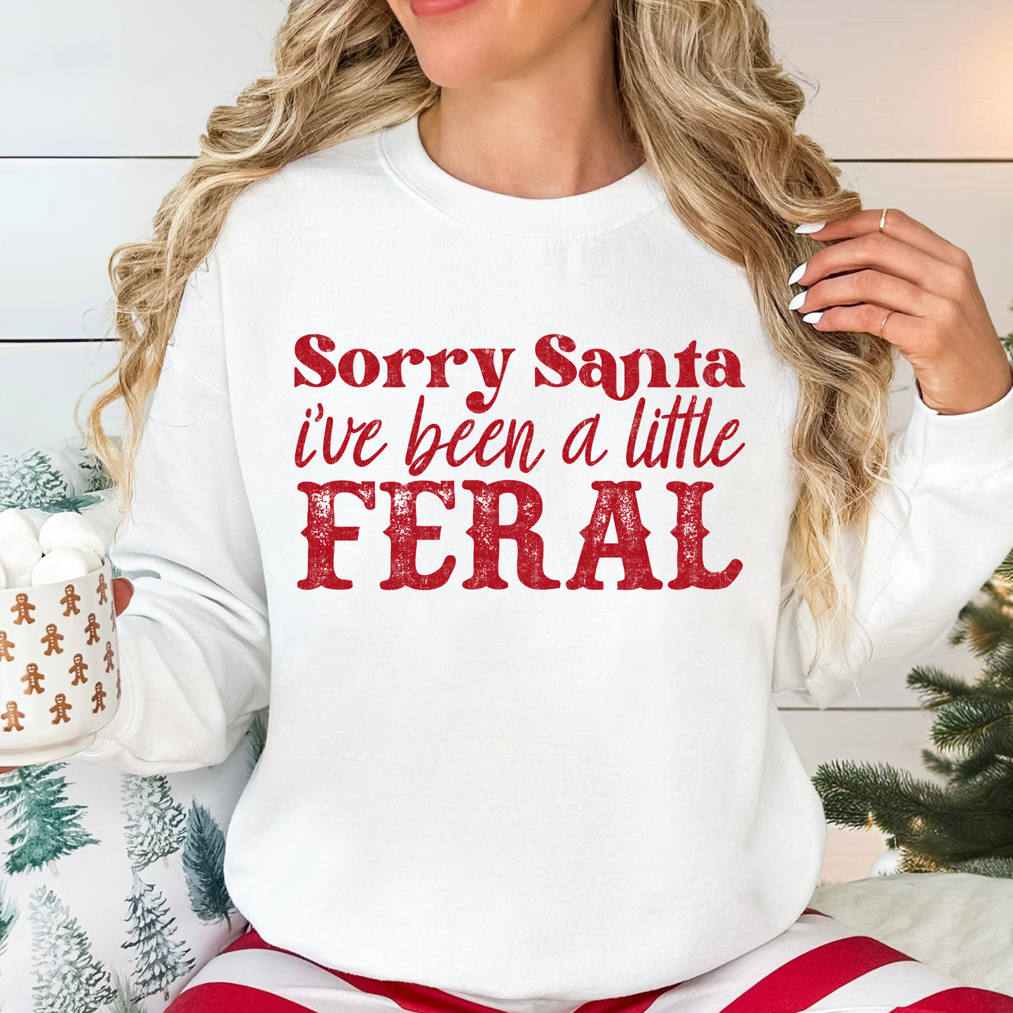 Sorry Santa I've Been A Little Feral Full Color DTF Transfer