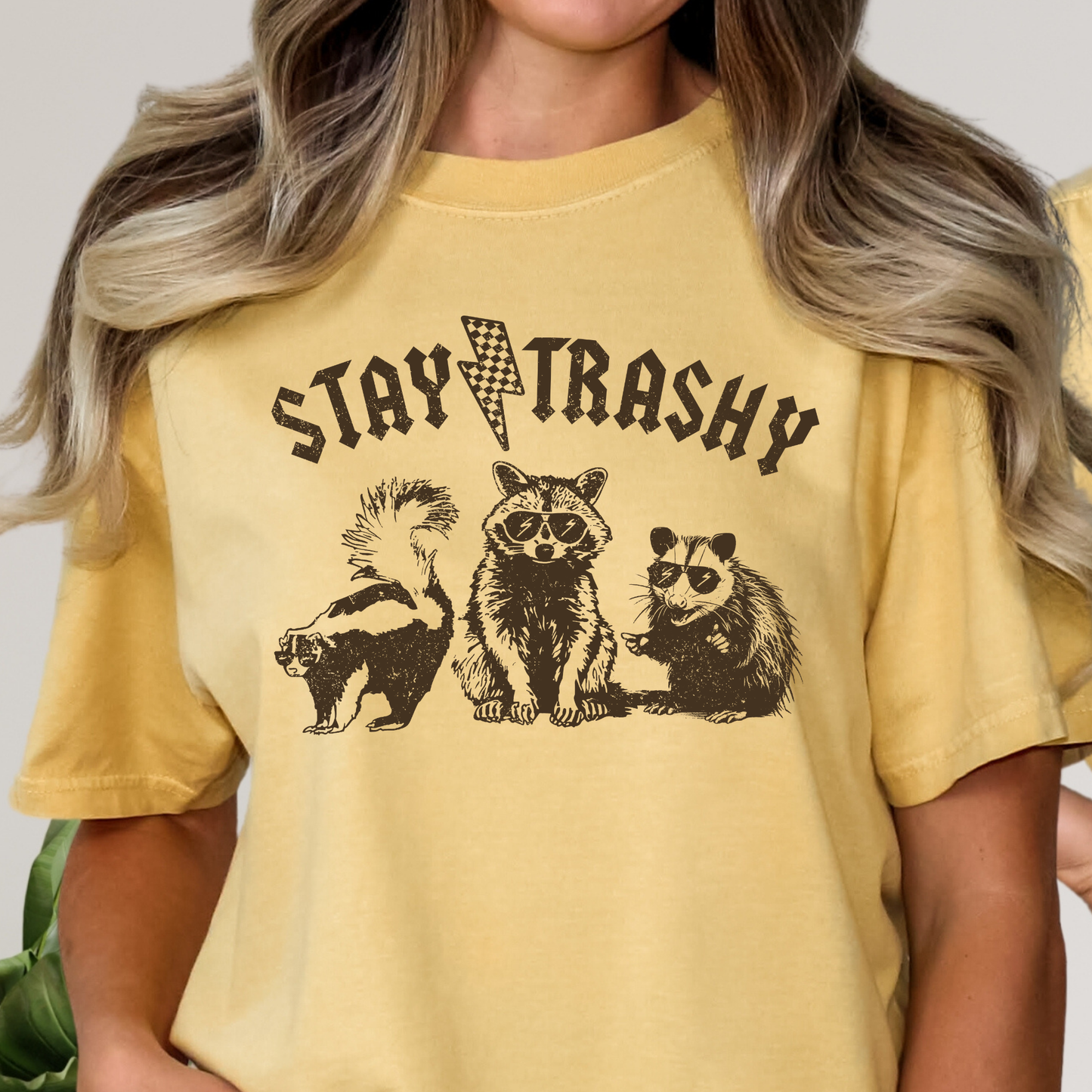 Stay Trashy (Rodents) Full Color DTF Transfer