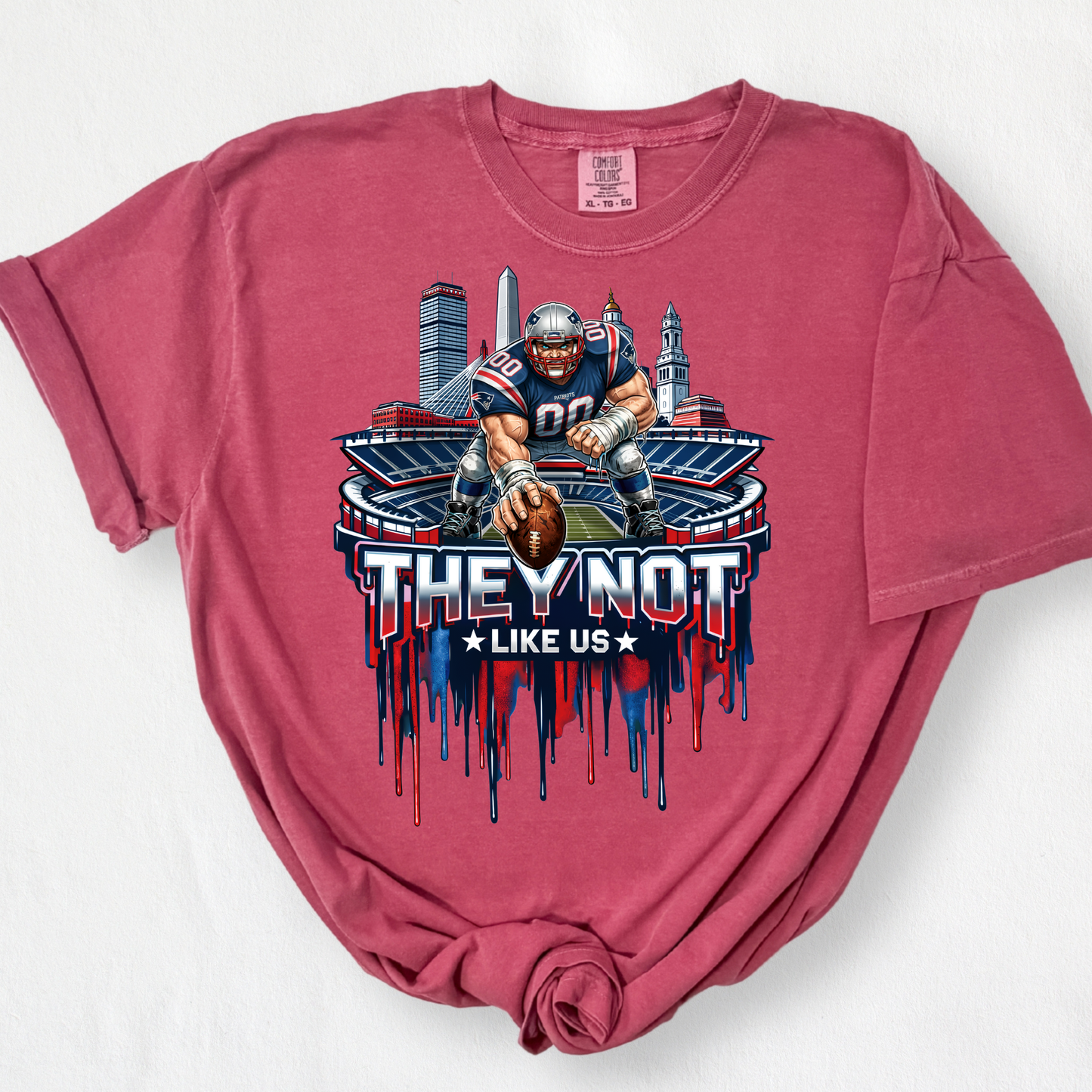 They Not Like Us Dripping (Seattle Seahawks/New England Patriots) Full Color DTF Transfer