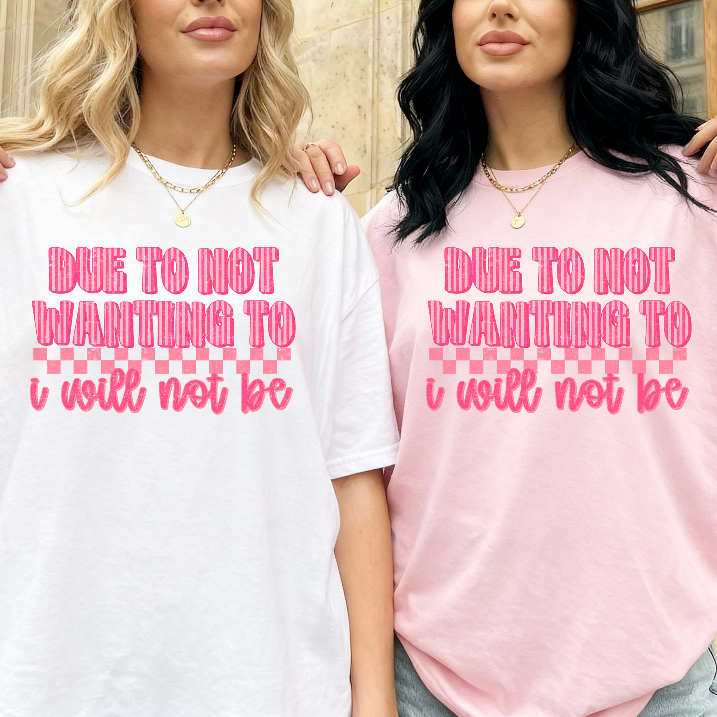 Due To Not Wanting To I Will Not Be Full Color DTF Transfer