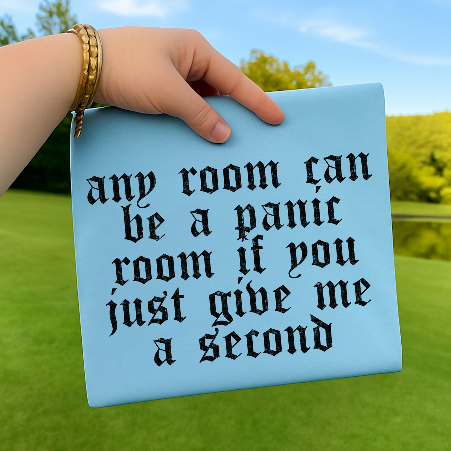 Any Room Can Be A Panic Room If You Just Give Me A Second Full Color DTF Transfer