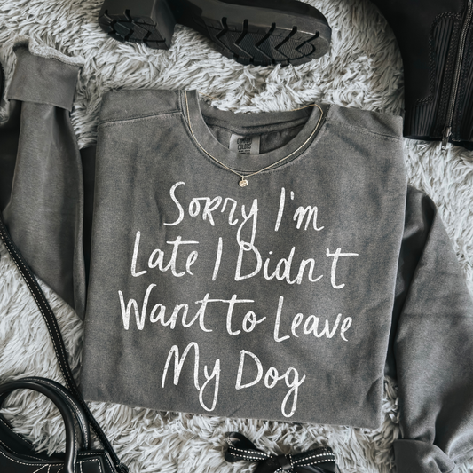 Sorry I'm Late I Didn't Want To Leave My Dog Full Color DTF Transfer
