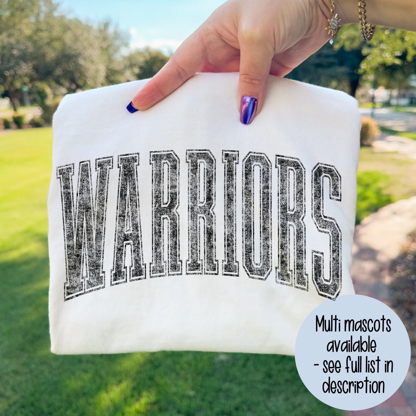 Warriors Distressed Arched (Multi Mascot Options) Full Color DTF Transfer