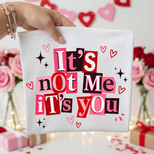 It's Not Me It's You Full Color DTF Transfer