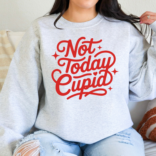 Not Today Cupid Full Color DTF Transfer