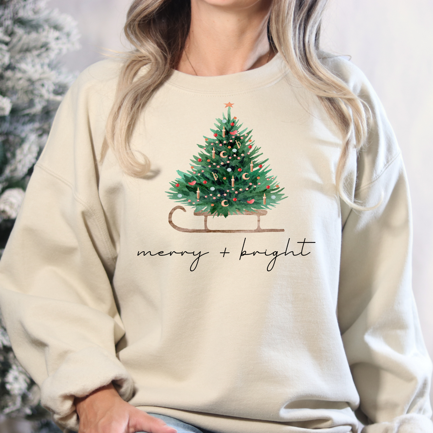 Merry + Bright Christmas Sleigh Full Color DTF Transfer