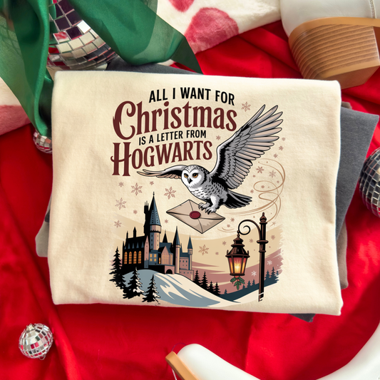 AlI Want For Christmas Is A Letter From Hogwarts (Harry Potter) Full Color DTF Transfer