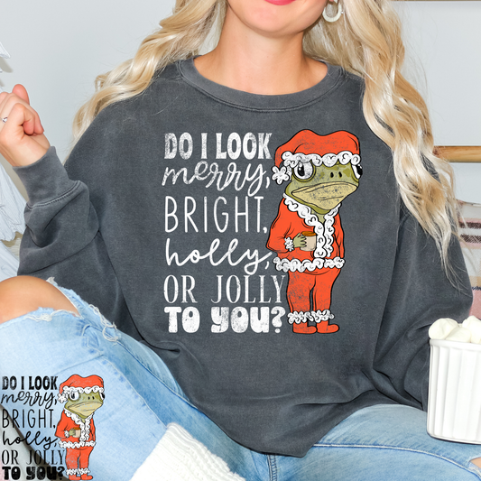 Do I Look Merry and Bright Frog Full Color DTF Transfer