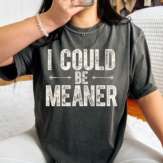 I Could Be Meaner Full Color DTF Transfer