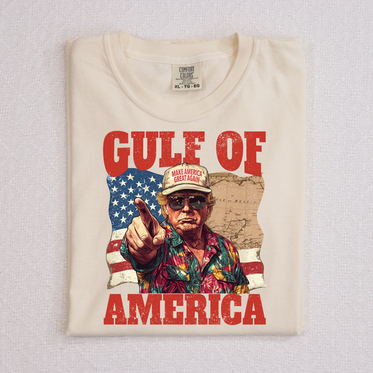Gulf of America Trump Full Color DTF Transfer