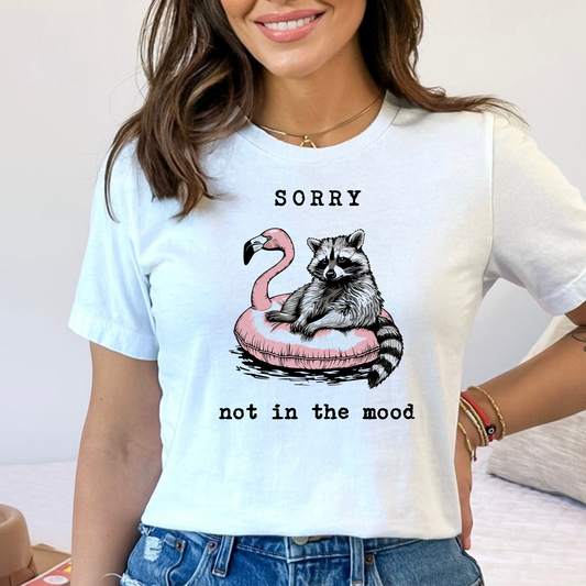 Sorry Not In The Mood (Raccoon on Pool Float) Full Color DTF Transfer