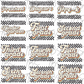 Retro Style Grade (MULTI GRADE OPTIONS) Checkered Back To School Full Color DTF Transfers