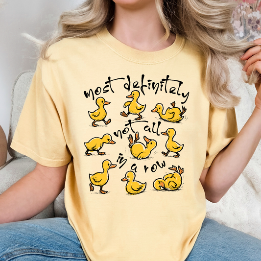 Ducks - Most Definitely Not All In A Row Full Color DTF Transfer