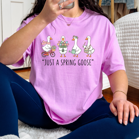 Just A Spring Goose Full Color DTF Transfer