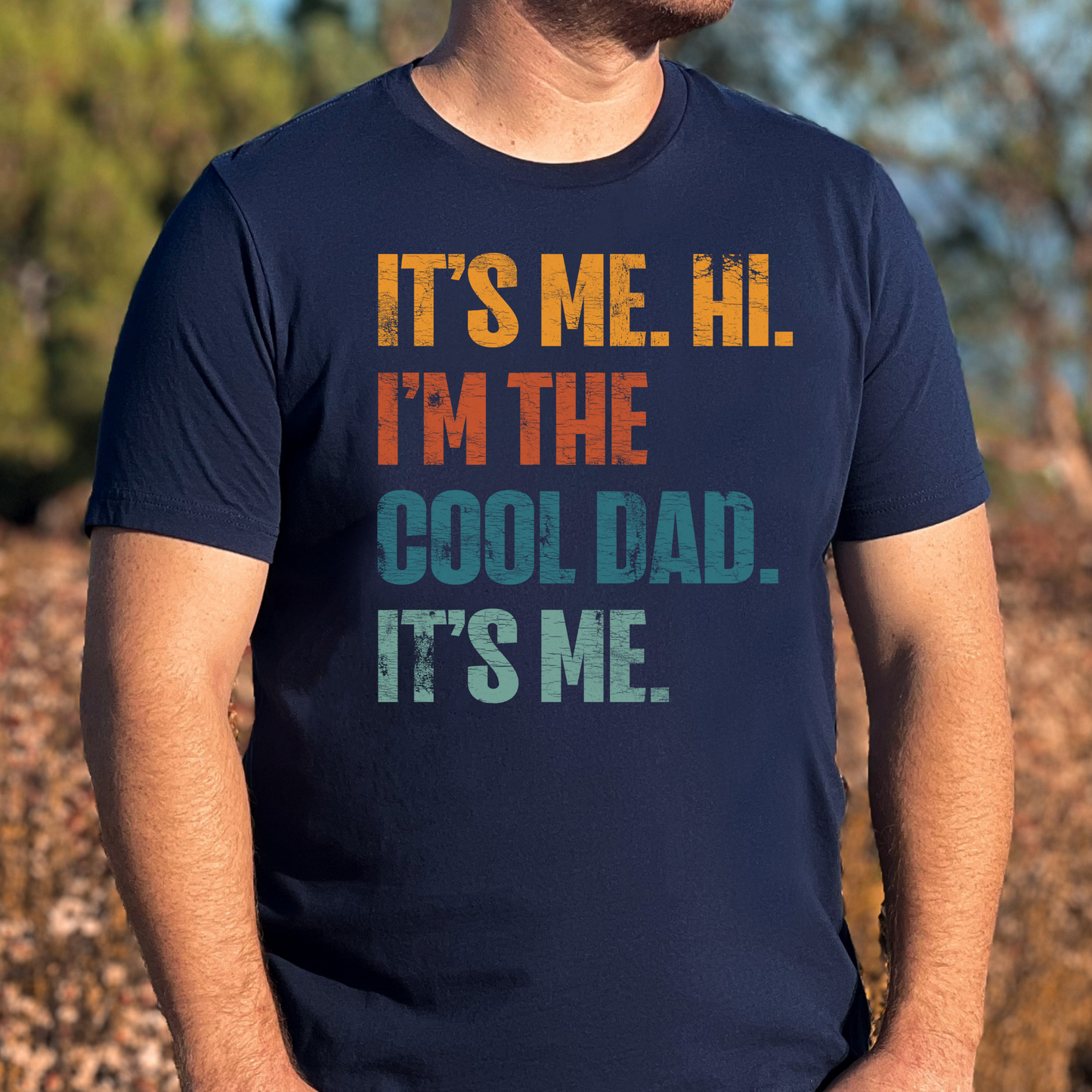 It's Me Hi I'm The Cool Dad Its Me Full Color DTF Transfer