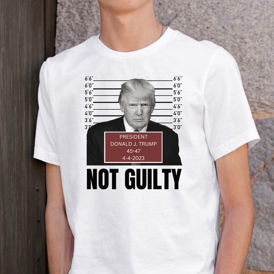 Trump Mug Shot (Not Guilty) Full Color DTF Transfer