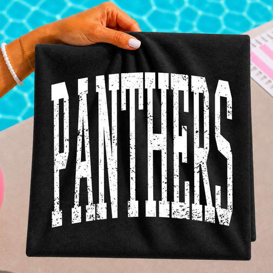 Panthers (Distressed) Full Color DTF Transfer