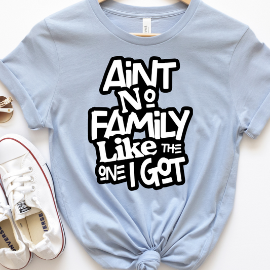 Aint No Family Like The One I Got Full Color DTF Transfers