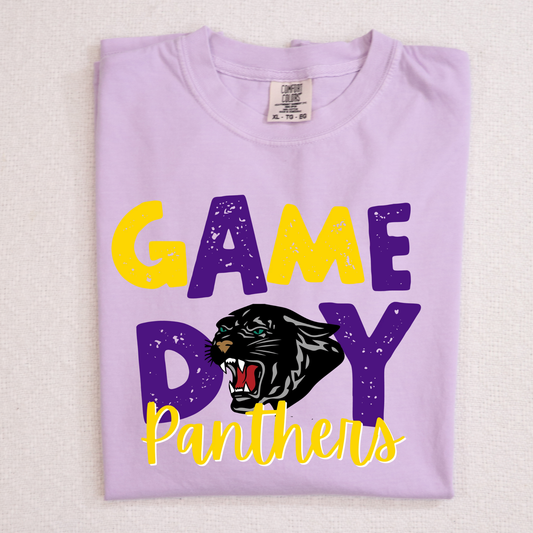 Game Day Panthers Full Color DTF Transfer