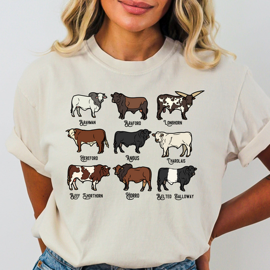 Cow Breeds Full Color DTF Transfer