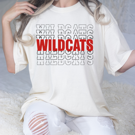 Wildcats Full Color DTF Transfer