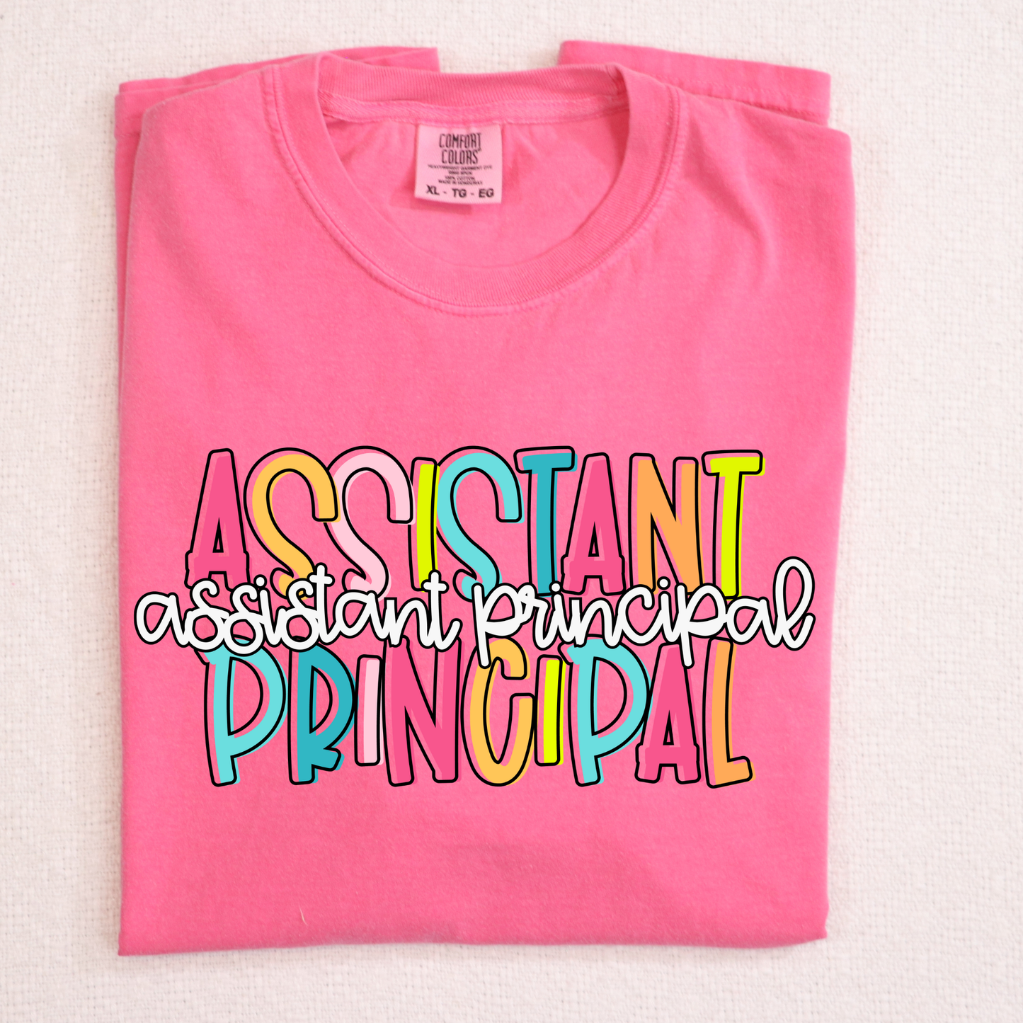 Assistant Principal (Multi Color) Full Color DTF Transfer