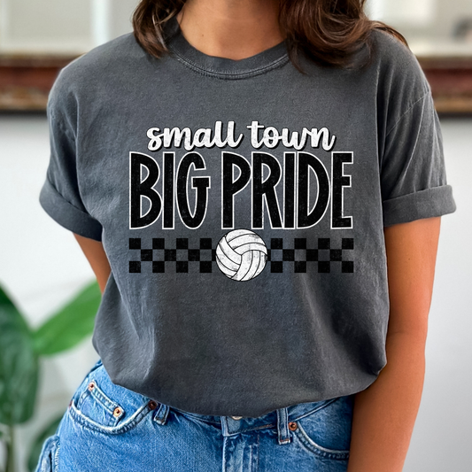 Volleyball Small Town Big Pride Full Color DTF Transfer