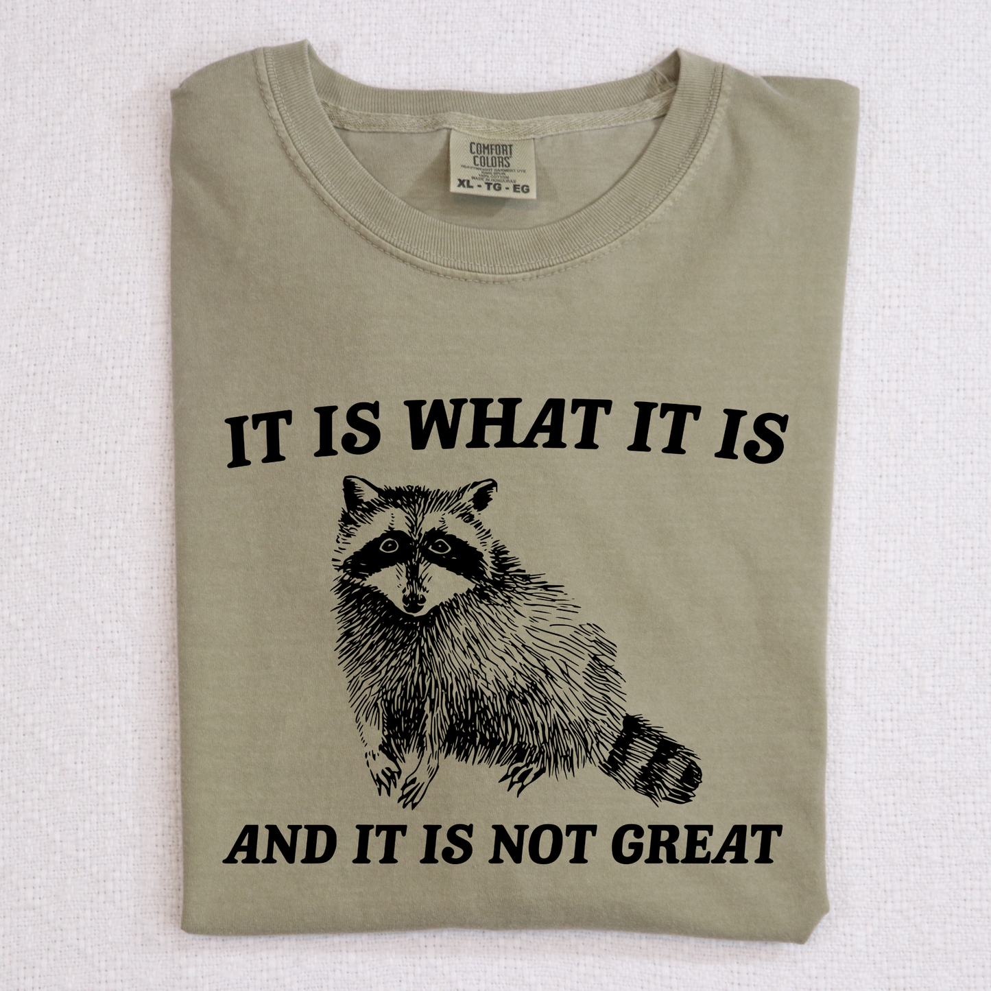 It Is What It Is And It Is Not Great (Racoon) Full Color DTF Transfer