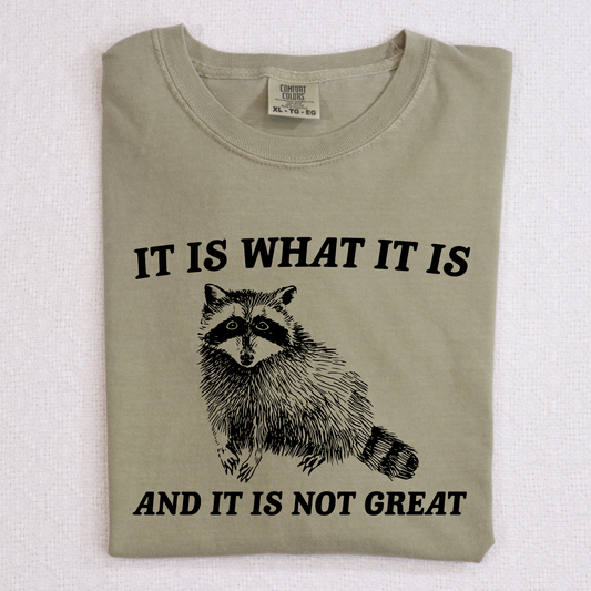 It Is What It Is And It Is Not Great (Racoon) Full Color DTF Transfer