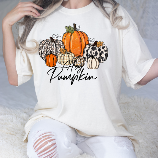 Hey Pumpkin (Multi Pattern Pumpkins) Full Color DTF Transfer