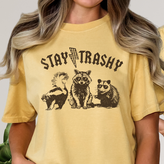 Stay Trashy (Rodents) Full Color DTF Transfer