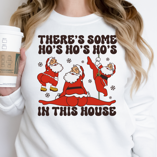 There's Some Hoes In This House (Twerking Santas) Full Color DTF Transfer