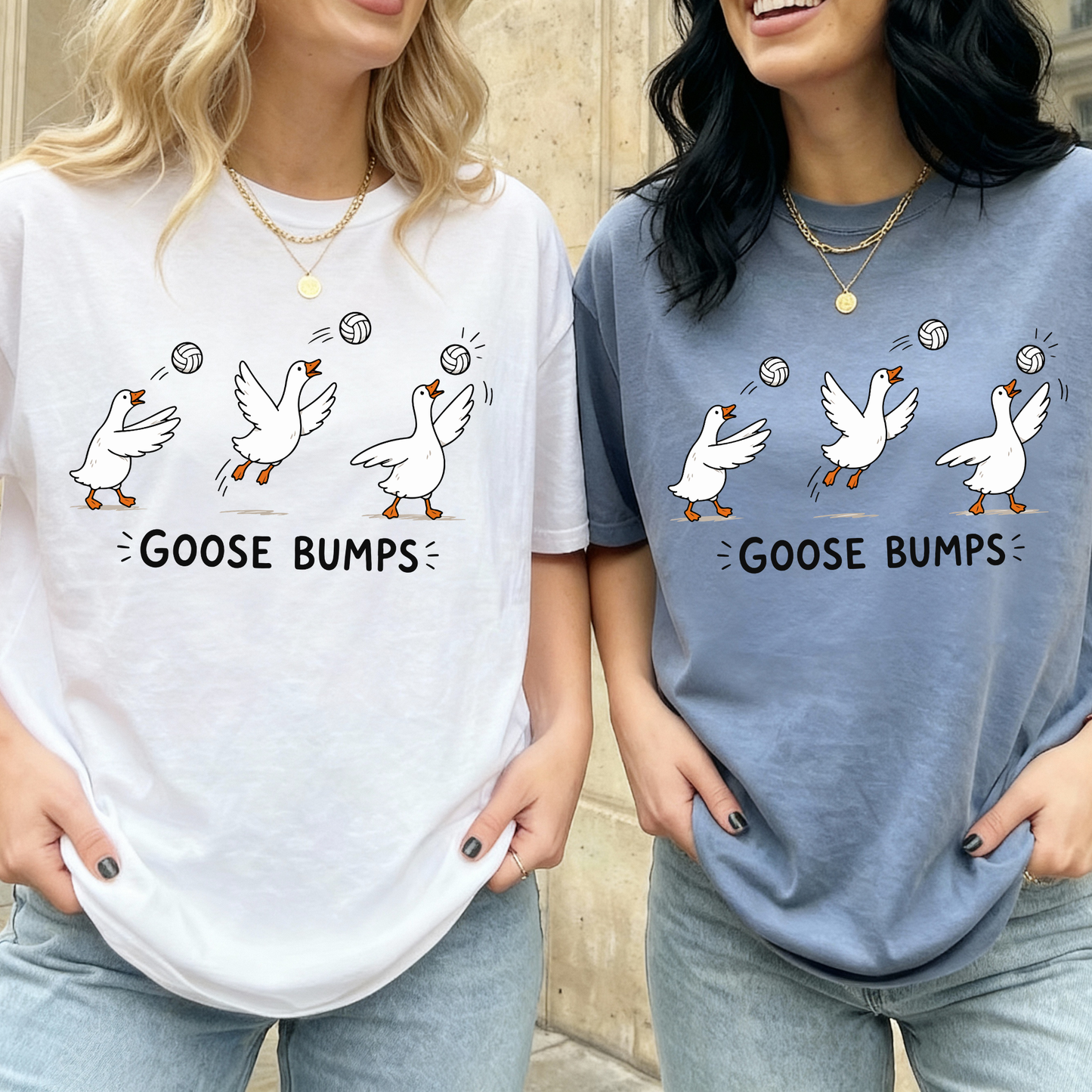 Goose Bumps (Volleyball) Full Color DTF Transfer