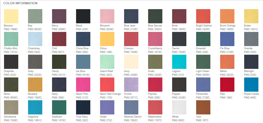 Flag Mascot Glitter Appliqué Embroidered Sweatshirt/T-Shirt (ANY SINGLE ONE LINE WORD)