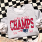 2025 NFC & AFC Champs (Seattle Seahawks/New England Patriots) Full Color DTF Transfer