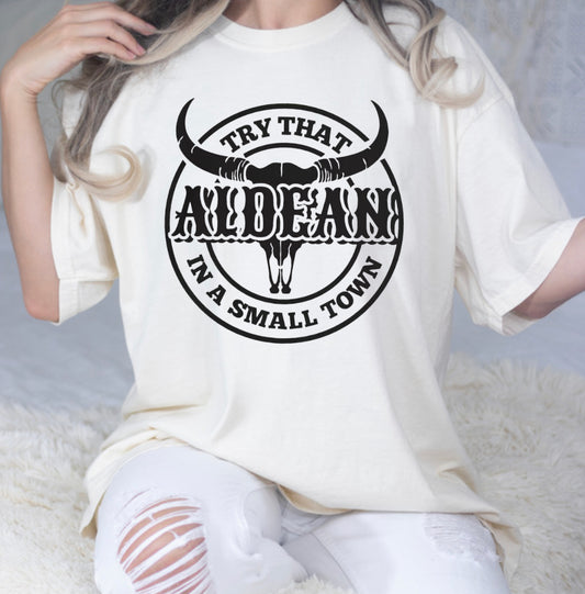 Try That In A Small Town Skull Jason Aldean Full Color DTF Transfer