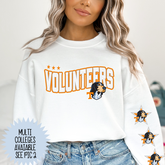 College Football (ONLY OPTIONS IN PIC 2) w/Star Sleeve Option Full Color DTF Transfer