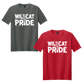 Ladycats Allstar Family Shirts