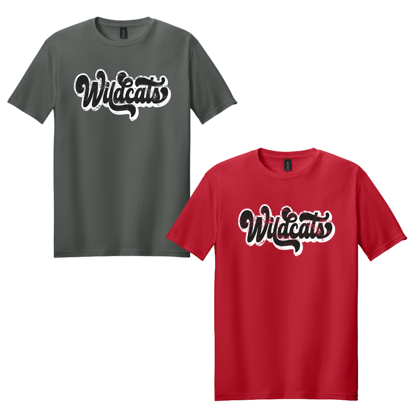 Ladycats Allstar Family Shirts