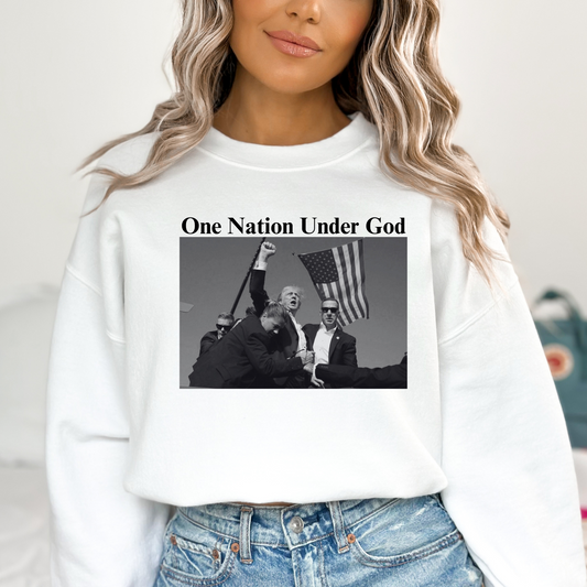 One Nation Under God (Assisination Attempt Trump Rally 2024)  Full Color DTF Transfer