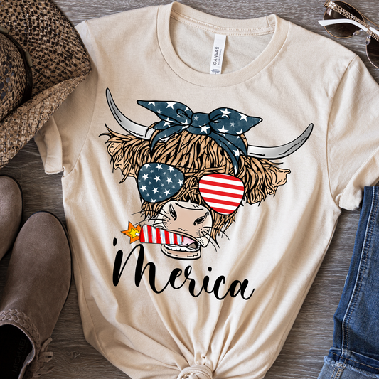 Merica Heifer Fireworks American Flag Full Color DTF Transfer