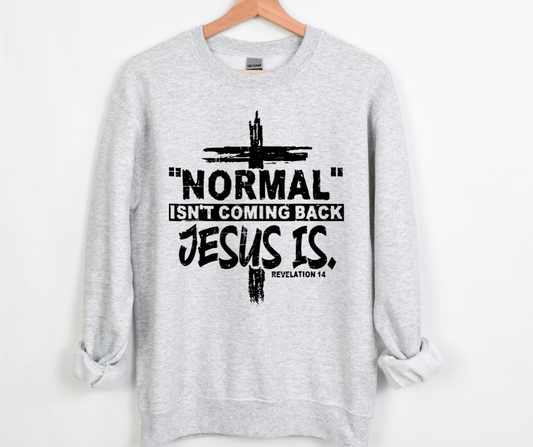 Normal Isn’t Coming Back Jesus Is Full Color DTF Transfers